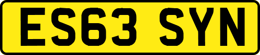 ES63SYN