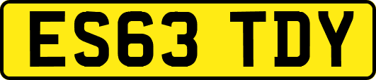 ES63TDY