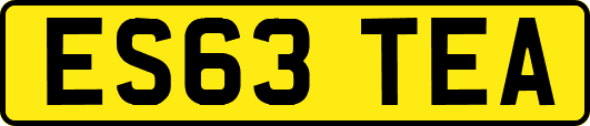 ES63TEA
