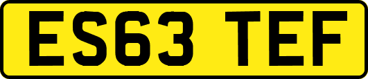 ES63TEF