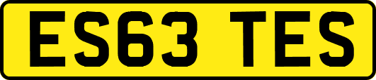 ES63TES