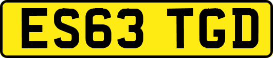 ES63TGD