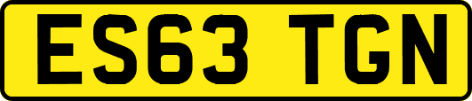 ES63TGN