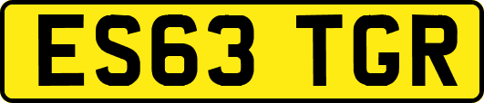 ES63TGR