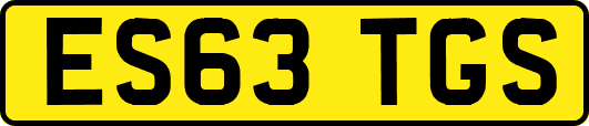 ES63TGS