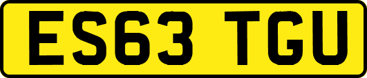 ES63TGU