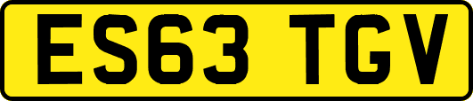 ES63TGV