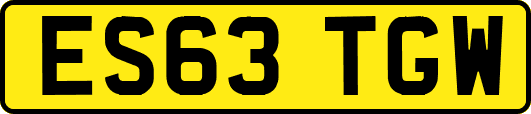 ES63TGW