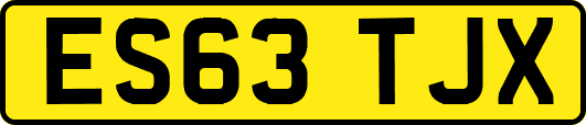 ES63TJX