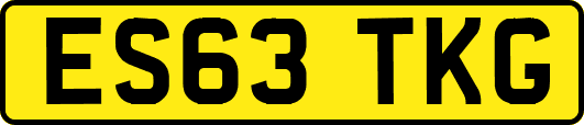 ES63TKG