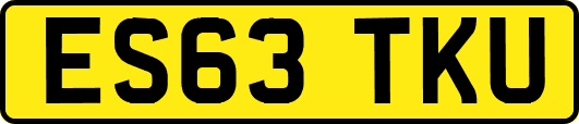 ES63TKU