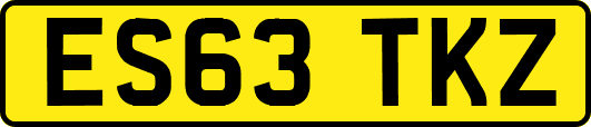 ES63TKZ