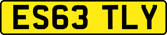 ES63TLY