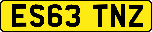 ES63TNZ