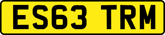 ES63TRM