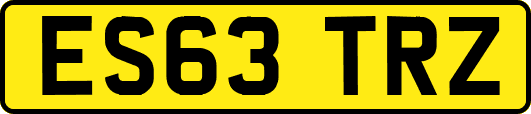 ES63TRZ