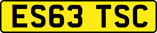 ES63TSC