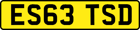 ES63TSD