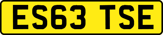 ES63TSE