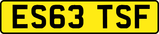 ES63TSF
