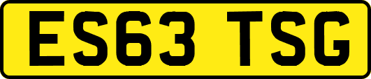 ES63TSG