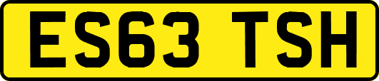 ES63TSH