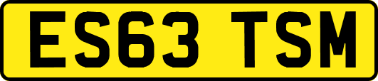 ES63TSM