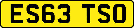 ES63TSO