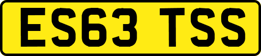 ES63TSS