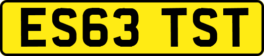 ES63TST