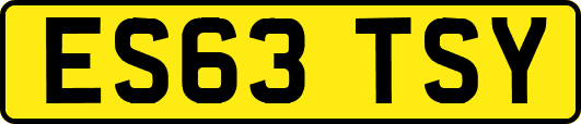 ES63TSY