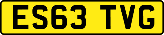 ES63TVG