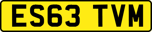 ES63TVM