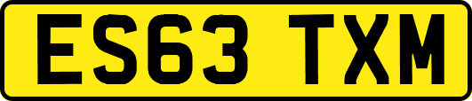 ES63TXM