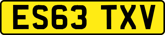 ES63TXV