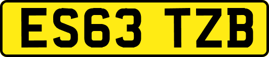 ES63TZB