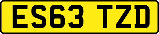 ES63TZD