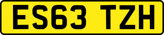 ES63TZH