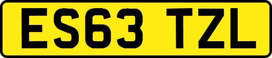 ES63TZL