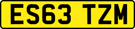ES63TZM
