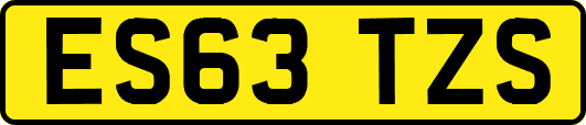 ES63TZS