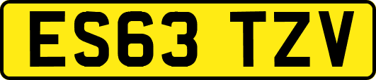 ES63TZV