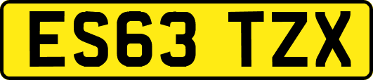 ES63TZX