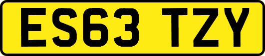 ES63TZY