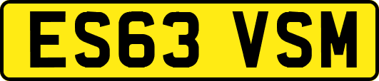 ES63VSM