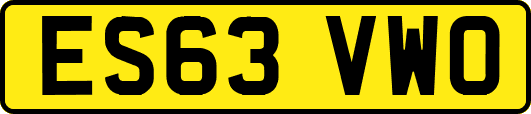 ES63VWO