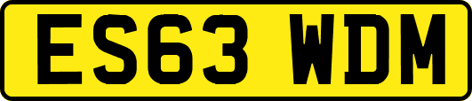 ES63WDM