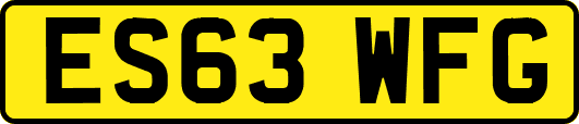 ES63WFG