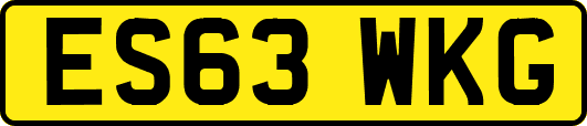 ES63WKG