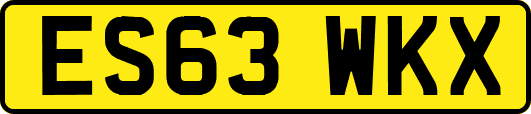 ES63WKX